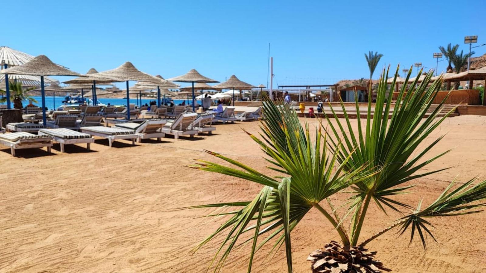 Turquoise Beach Hotel Sharm el-Sheik Eksteriør bilde